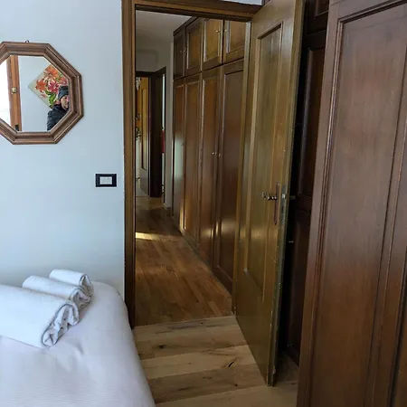 Piccolo Rododendro Q427 Breuil-Cervinia